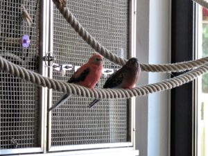 IMG_8791_1024