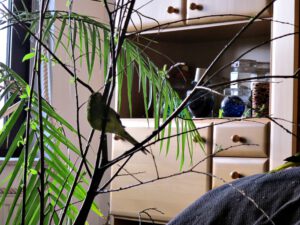 IMG_9269_1024