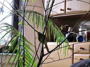 IMG_9270_1024