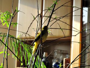 IMG_9272_1024