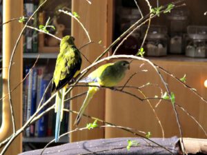 IMG_9275_1024