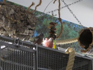 IMG_6397_1024