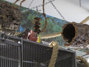IMG_6398_1024