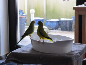IMG_6655_1024