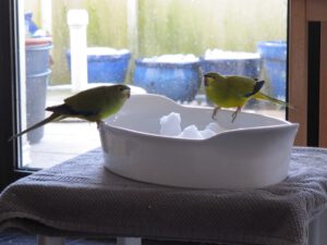 IMG_6658_1024