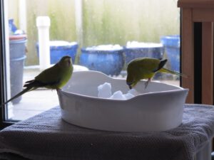 IMG_6659_1024