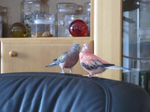 IMG_6661_1024