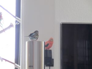 IMG_6662_1024