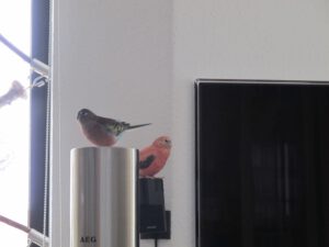 IMG_6663_1024