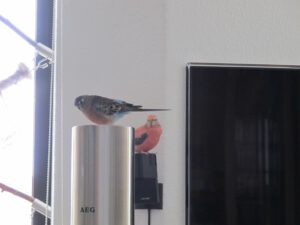 IMG_6664_1024