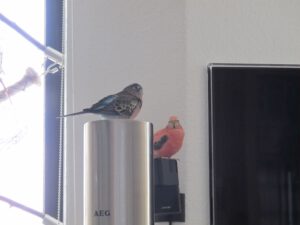IMG_6667_1024