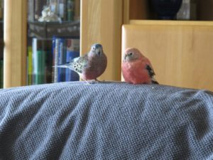 IMG_0330_1024