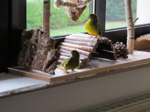 IMG_0378_1024