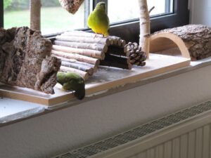 IMG_0379_1024