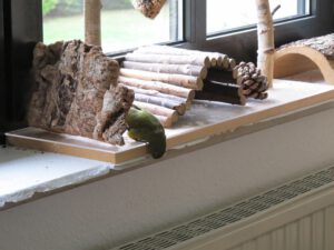 IMG_0380_1024