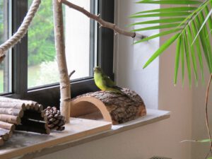IMG_0381_1024