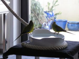 IMG_2779_1024