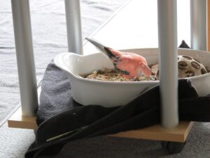 IMG_2783_1024