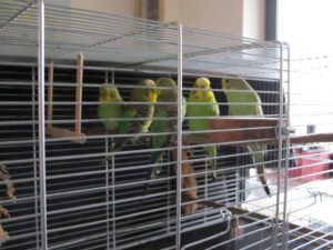 IMG_2794_1024