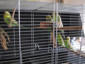 IMG_2797_1024