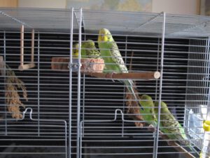 IMG_2801_1024