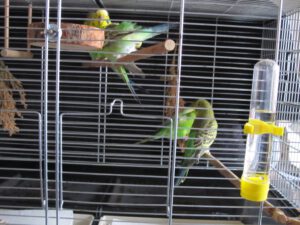 IMG_2808_1024