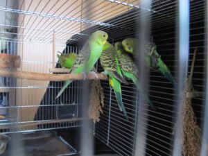 IMG_2811_1024