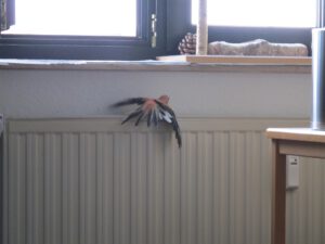 IMG_2843_1024