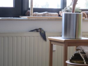 IMG_2957_1024
