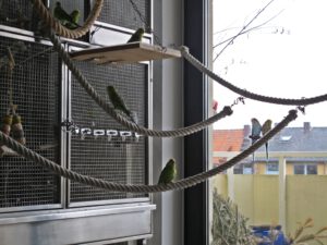 IMG_3971_1024