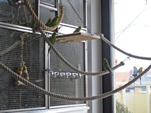 IMG_3972_1024