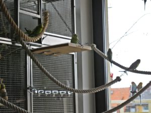 IMG_3973_1024