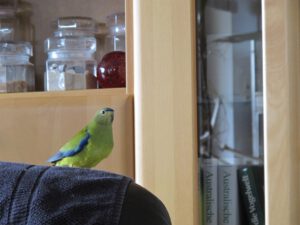IMG_3976_1024