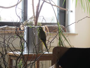 IMG_3977_1024