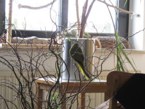 IMG_3978_1024