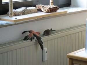 IMG_4348_1024