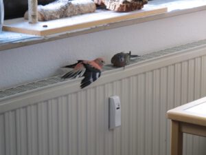 IMG_4349_1024