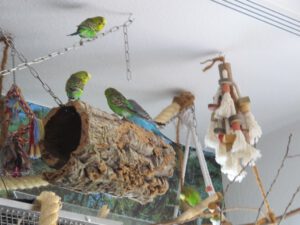 IMG_4353_1024