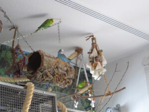 IMG_4354_1024