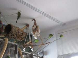 IMG_4356_1024