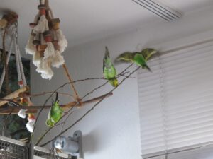 IMG_4358_1024