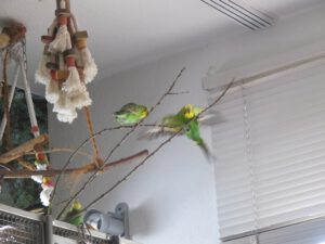 IMG_4359_1024