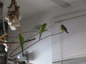 IMG_4362_1024