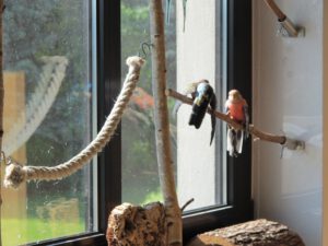 IMG_4518_1024