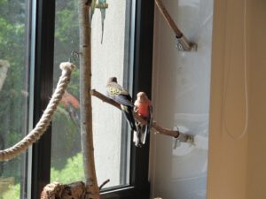 IMG_4519_1024