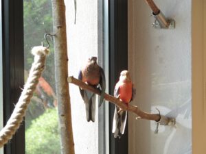 IMG_4521_1024