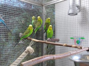 IMG_5456_1024