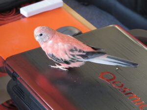 IMG_5859_1024