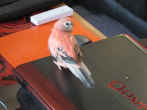 IMG_5860_1024