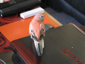 IMG_5863_1024
